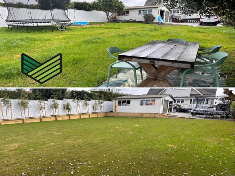 professional landscape design