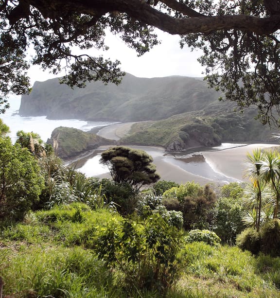 Gardening Services West Auckland | Garden Visions